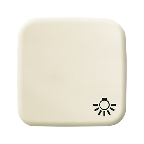 Busch-Jaeger Wippe ws mit Symbol Licht 2520 LI-212